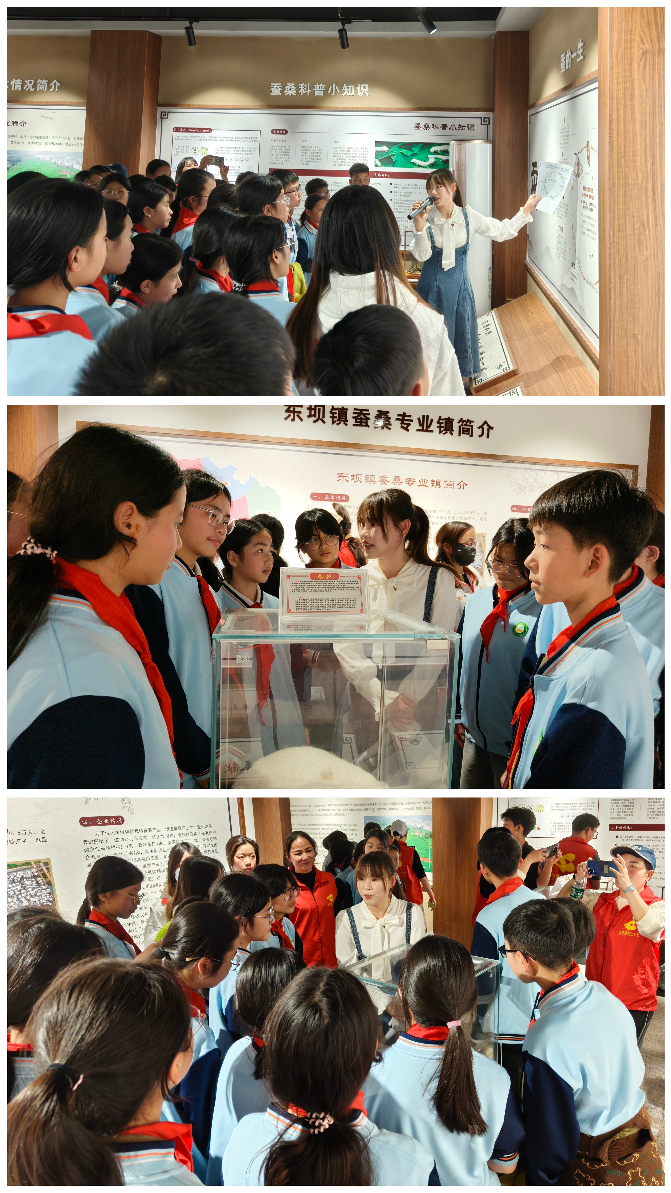 東壩蠶桑展示館合照.jpg