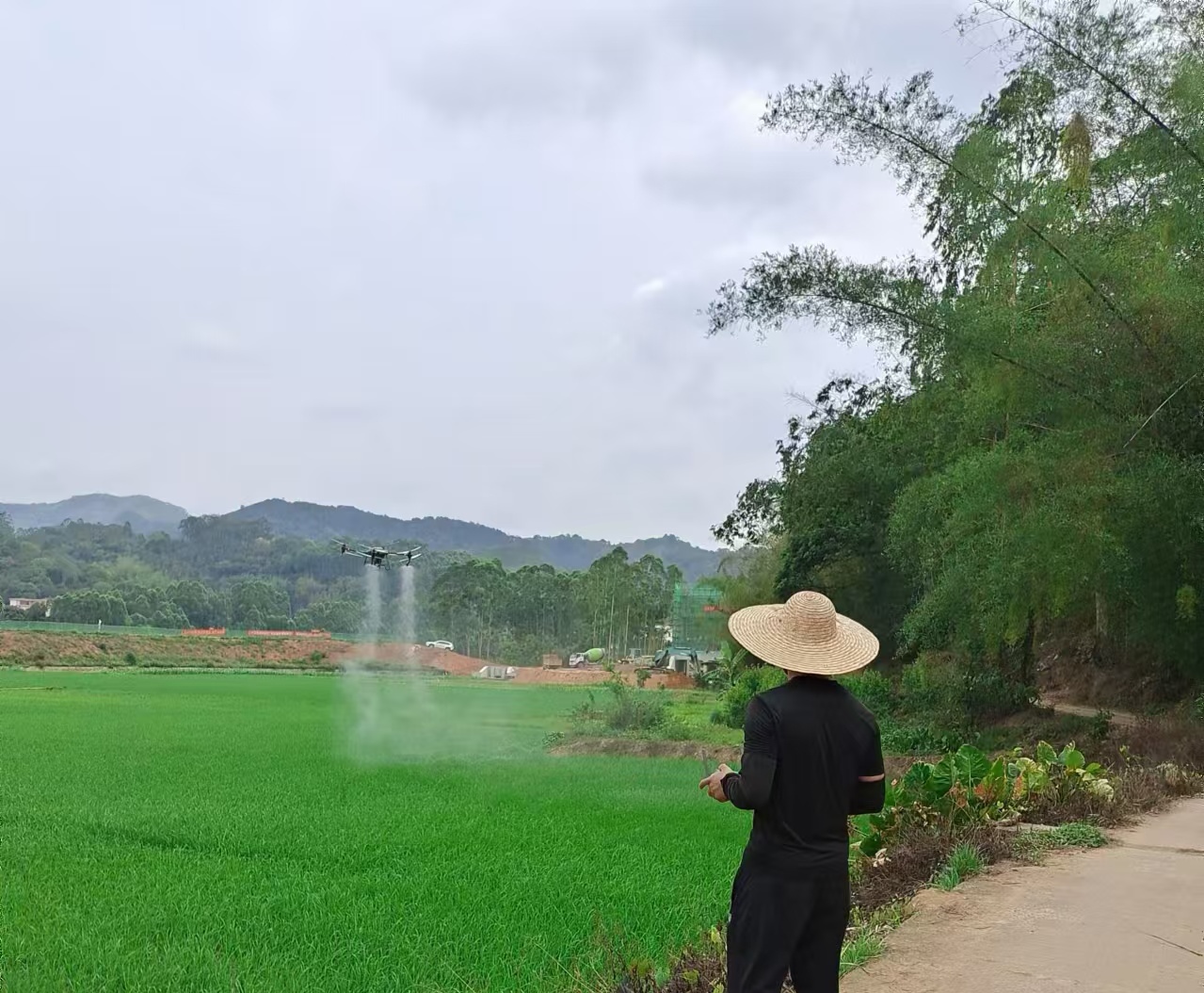 謝桂權開展無人機植保.jpg
